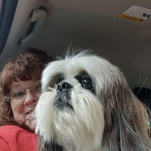 Meet your Posher, Gerri